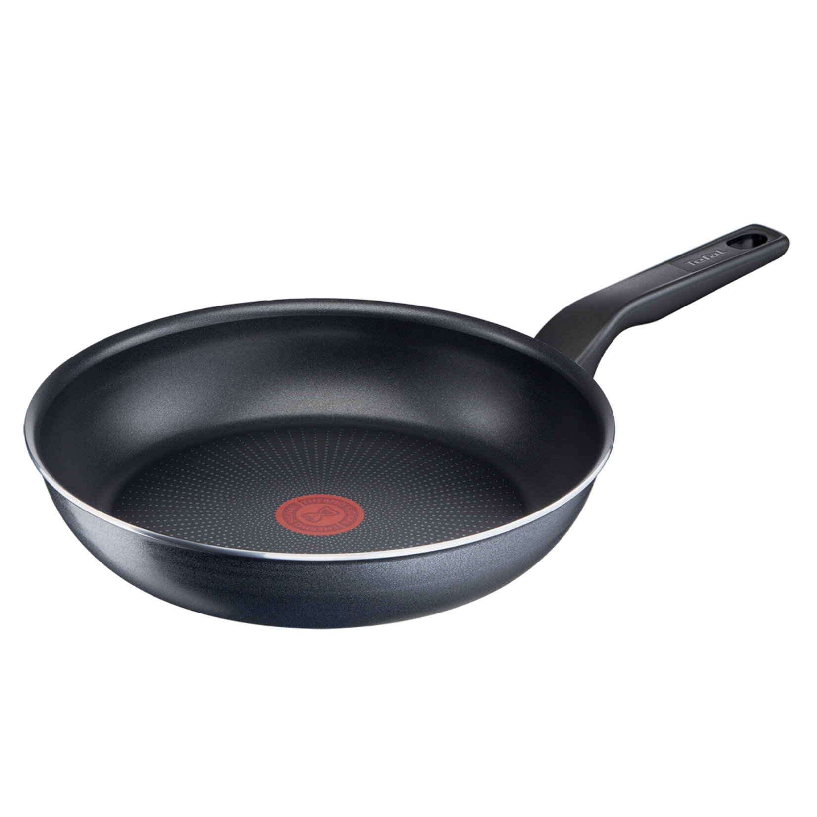 Tefal Titanyum 2X XL Force Tava 24 Cm