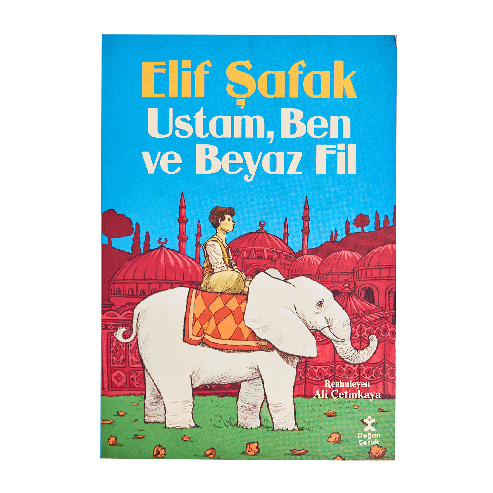 Ustam Ben ve Beyaz Fil - Elif Şafak