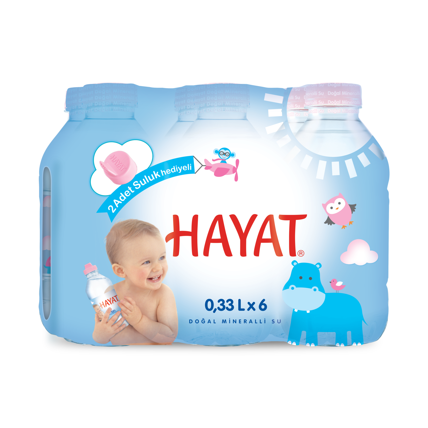 Hayat Su Bebekler İçin 6 x 330 Ml