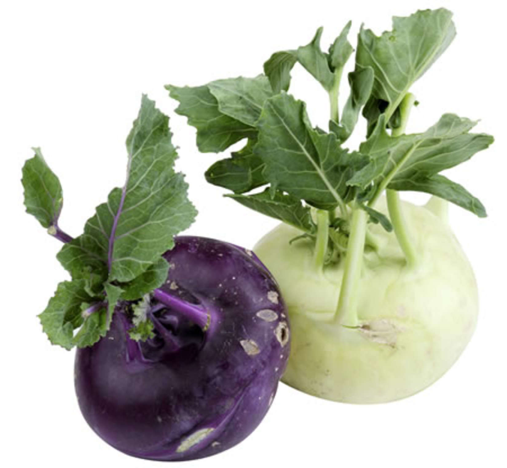 Alabaş Kg