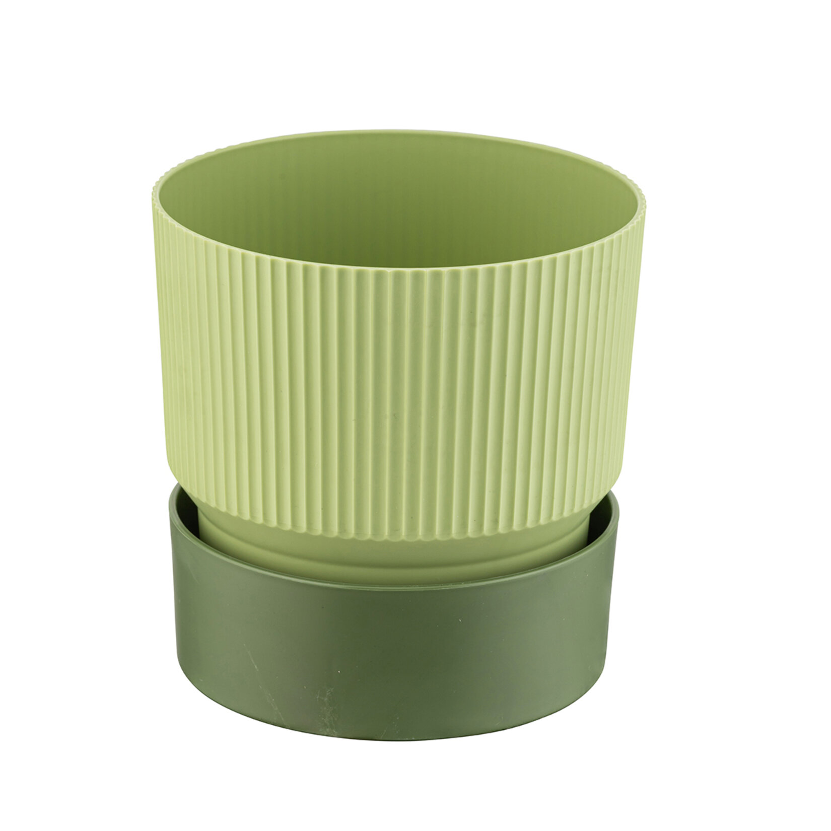 Farist Garden Ixora 3 L Saksı